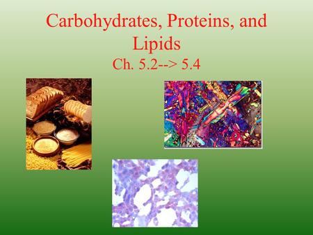 Carbohydrates, Proteins, and Lipids Ch > 5.4
