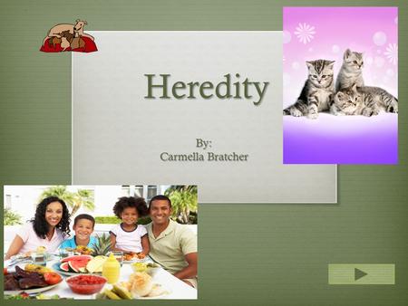 Heredity By: Carmella Bratcher.  Content Area: Science  Grade Level: 1st  Summary: Characteristics are passed on from one generation to the next. 