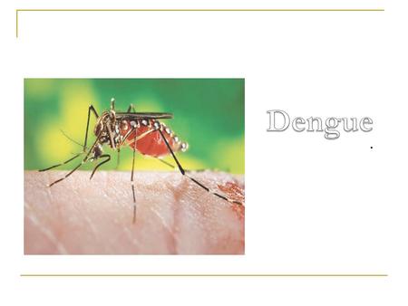 Dengue ..