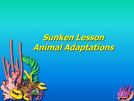 Sunken Lesson Animal Adaptations Vocabulary Adaptation: any body part, behavior, or physiological capability that increases an animal's ability to survive.