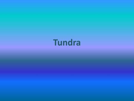 Tundra. Climate In the Tundra, the winter temperature averages about -30F In the summer, the average temperature is close to 45F.