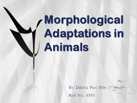 Morphological Adaptations in Animals By; Diksha Pasi (B.Sc 1 st year) Roll No.: 8585.