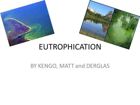 EUTROPHICATION BY KENGO, MATT and DERGLAS. Causes Natural run-off nutrients from the soil and the weathering of rocks Run-off of inorganic fertilizers.