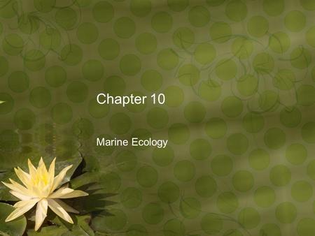 Chapter 10 Marine Ecology. Ecology Ecology: study of the interactions between organisms and their environment Habitat: specific location where an organism.