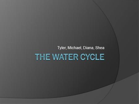 Tyler, Michael, Diana, Shea. The General Water Cycle.