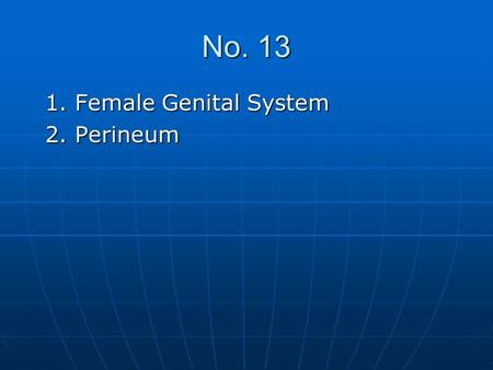 No. 13 1. Female Genital System 2. Perineum.