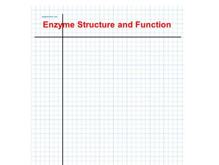 Enzyme Structure and Function