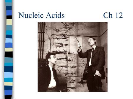 Nucleic Acids Ch 12. Macromolecules n Macromolecules –“giant molecules” –Formed when monomers join together to form polymers Monomer = molecules, sm.
