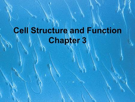Cell Structure and Function Chapter 3. Cells Smallest living unit Most are microscopic.