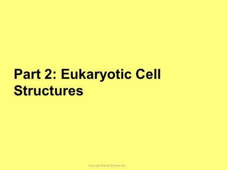 Copyright Pearson Prentice Hall Part 2: Eukaryotic Cell Structures.