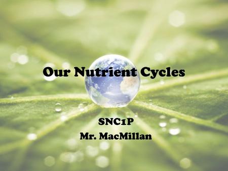 Our Nutrient Cycles SNC1P Mr. MacMillan. THE WATER CYCLE.
