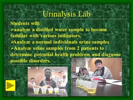 Urinalysis Lab Students will: