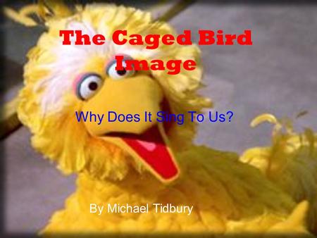 The Caged Bird Image Why Does It Sing To Us? By Michael Tidbury.