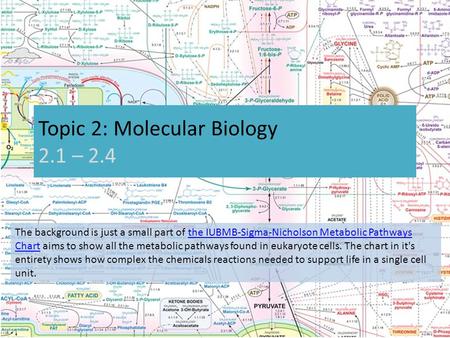 Topic 2: Molecular Biology 2.1 – 2.4 The background is just a small part of the IUBMB-Sigma-Nicholson Metabolic Pathways Chart aims to show all the metabolic.