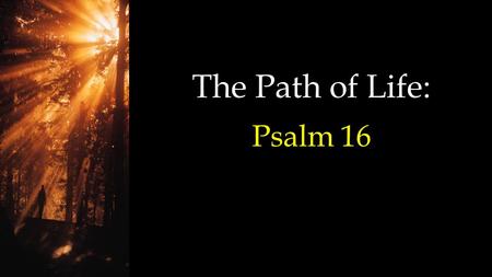 The Path of Life: Psalm 16. (Miller Standard Version - which combines NKJV, The Message and NLT) Preserve me, O God, for in You I put my trust. O my soul,
