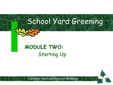 School Yard Greening MODULE TWO: Starting Up Caring for Your Land Series of Workshops Caring for Your Land Series of Workshop.