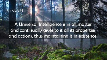 Principle #1 A Universal Intelligence is in all matter and continually gives to it all its properties and actions, thus maintaining it in existence.