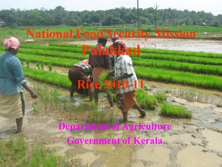 National Food Security Mission Palakkad Rice 2010-11 Department of Agriculture Government of Kerala.