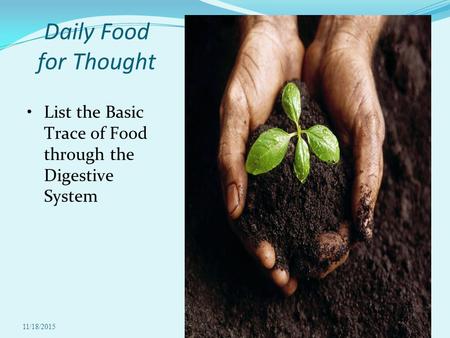 11/18/20151 Daily Food for Thought List the Basic Trace of Food through the Digestive System.