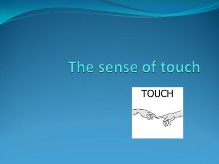 The sense of touch.