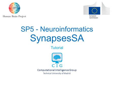SP5 - Neuroinformatics SynapsesSA Tutorial Computational Intelligence Group Technical University of Madrid.