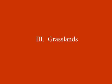 III. Grasslands A. Climate/Definition 1. It is an ecosystem in which there is too much water to be a desert but not enough to be a forest 2. Found everywhere.