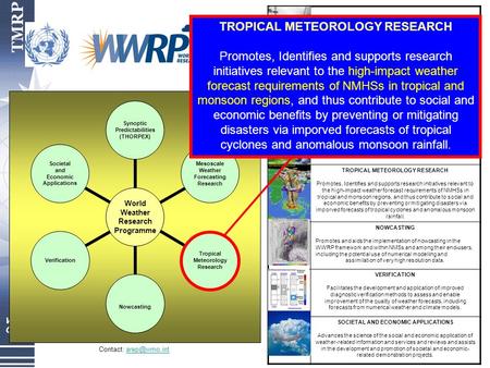 World Weather Research Programme Synoptic Predictabilities (THORPEX) Mesoscale Weather Forecasting Research Tropical Meteorology Research Nowcasting Verification.