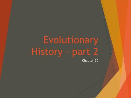 Evolutionary History – part 2 Chapter 20. History of Life  Fossils:  Any record of past life  Hard body parts: shells, bones, teeth  Traces or impressions: