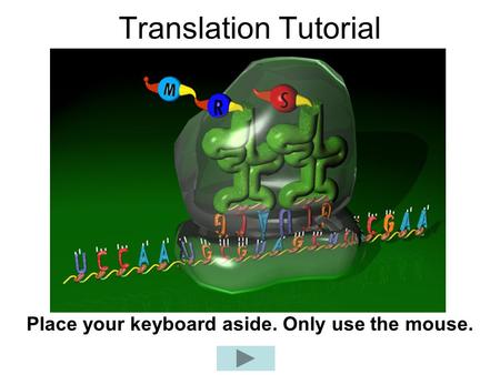Place your keyboard aside. Only use the mouse.