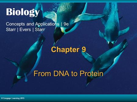 Chapter 9 From DNA to Protein.