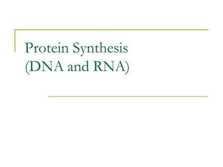 Protein Synthesis (DNA and RNA)
