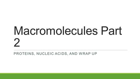 Proteins, nucleic acids, and wrap up