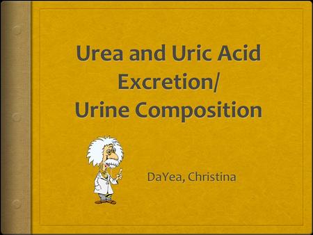 Urea  Urea: By-product of amino acids catabolism  Plasma concentration reflects the amount of protein  Urea enters the renal tubule by filtration 