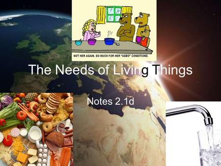 The Needs of Living Things Notes 2.1d. The Needs of Living Things All living things must satisfy their basic needs for water, food, living space, and.