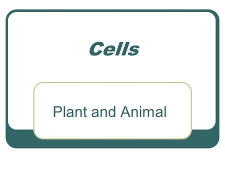 Cells Plant and Animal. Cells are the Starting Point All living organisms on Earth are divided in pieces called cells. There are smaller pieces to cells.