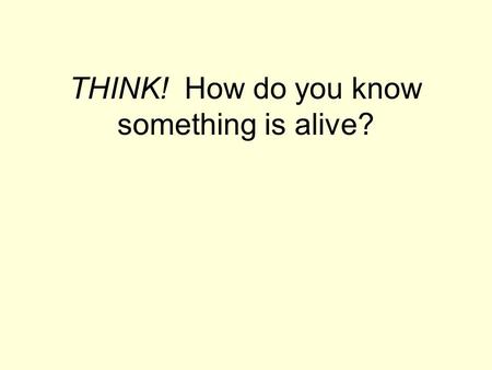 THINK! How do you know something is alive?. 7 characteristics of living things: 1.Cells 2.Reproduction 3.Homeostasis/metabolism 4.DNA 5.Growth & development.