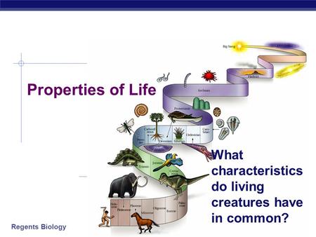 Regents Biology 2007-2008 Properties of Life What characteristics do living creatures have in common?