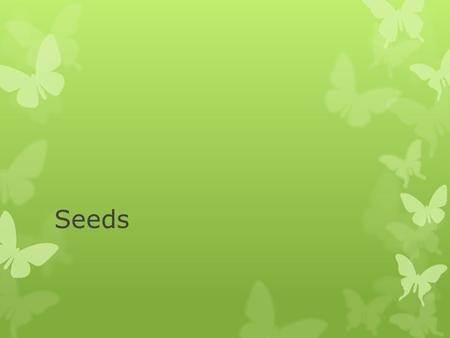 Seeds. Definition  A propagation organ formed in the sexual reproduction cycle of gymnosperms and angiosperms  Consists of:  Protective coat enclosing-