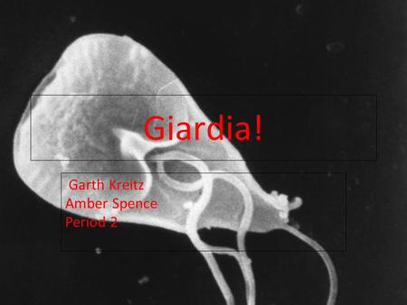 Click to edit Master subtitle style 1/27/09 Giardia! Garth Kreitz Amber Spence Period 2.
