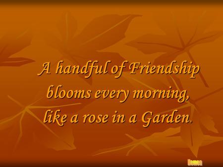 A handful of Friendship blooms every morning, like a rose in a Garden.