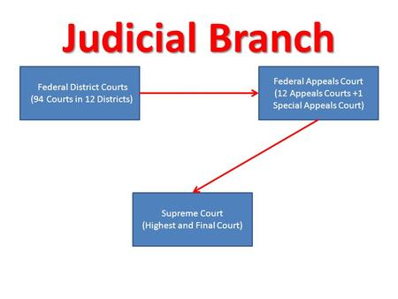 Judicial Branch Federal District Courts (94 Courts in 12 Districts) Federal Appeals Court (12 Appeals Courts +1 Special Appeals Court) Supreme Court (Highest.
