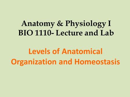 Anatomy & Physiology I BIO 1110- Lecture and Lab Levels of Anatomical Organization and Homeostasis.