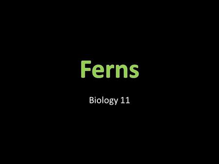 Ferns Biology 11.