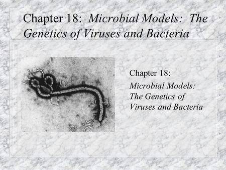 Chapter 18: Microbial Models: The Genetics of Viruses and Bacteria n Chapter 18: n Microbial Models: The Genetics of Viruses and Bacteria.