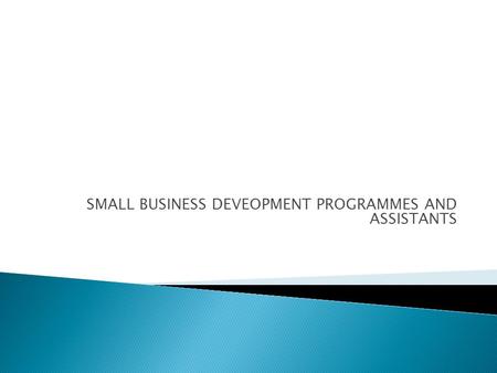 SMALL BUSINESS DEVEOPMENT PROGRAMMES AND ASSISTANTS.
