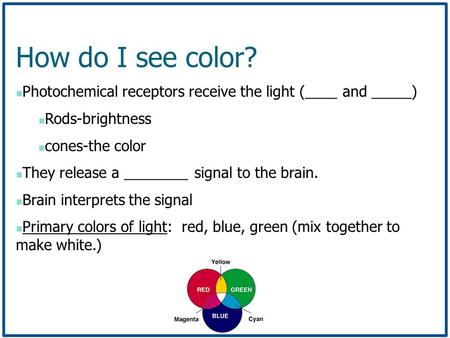 How do I see color? Photochemical receptors receive the light (____ and _____) Rods-brightness cones-the color They release a ________ signal to the brain.