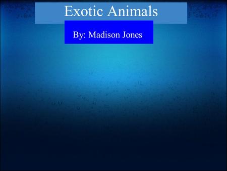 Exotic Animals By: Madison Jones. We shouldn’t be able to keep exotic animals. Another reason is because they get too big. SO WHY OWN ONE? Exotic animals.
