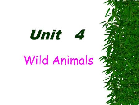 Unit 4 Wild Animals appearance food character bamboo leaves &shoots quiet &peaceful black&white fur.