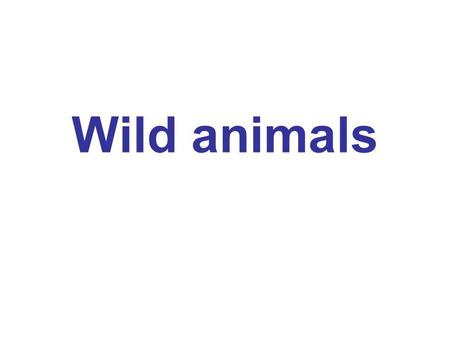 Wild animals.
