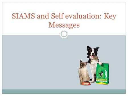 SIAMS and Self evaluation: Key Messages. Key Players.